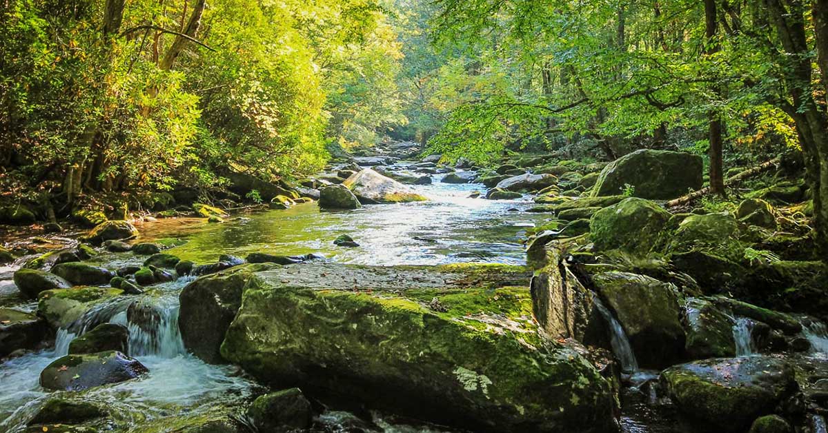 Sublimity is surrounded by beautiful forest streams, like Mill Creek